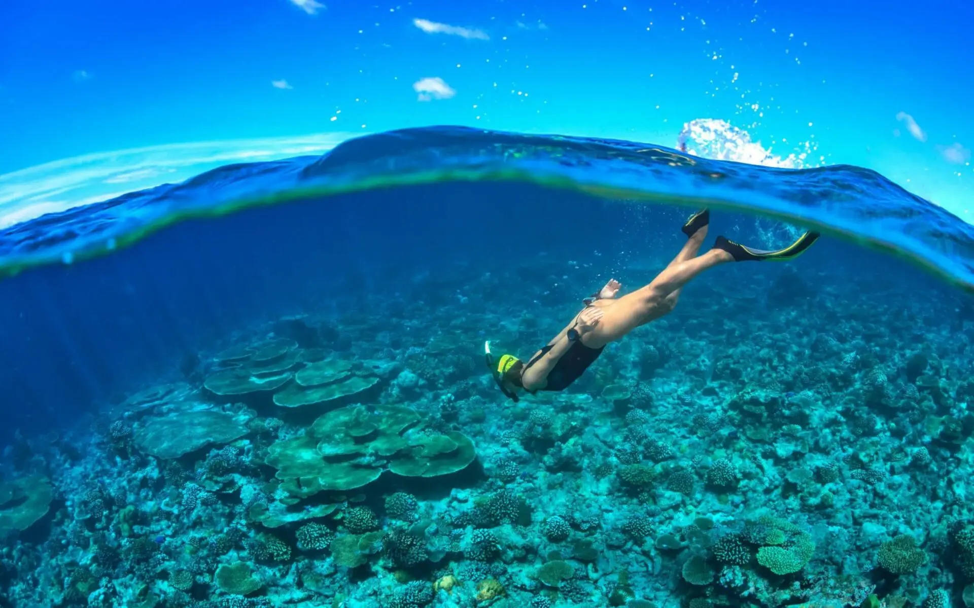 Travel Better: Sustainable Stays the SAii Way