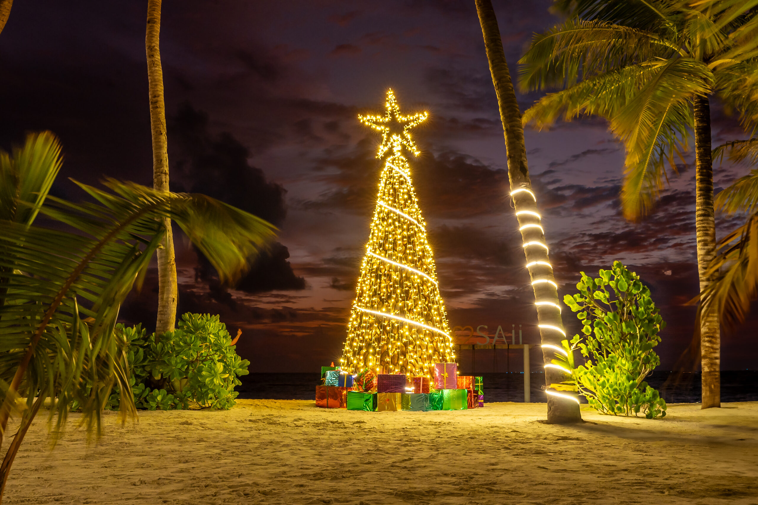 Festive in Maldives Christmas Tree Lighting