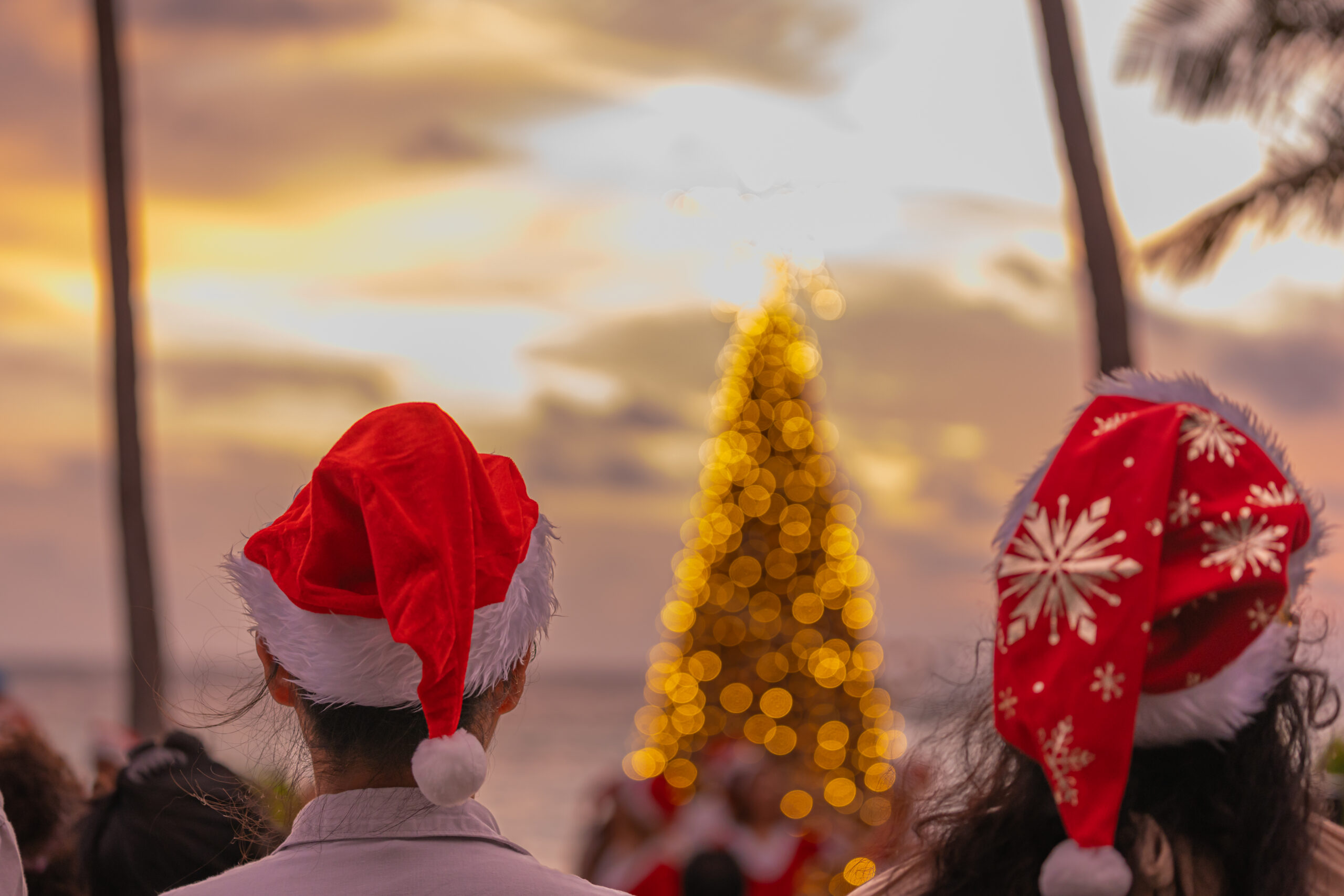 Festive in Maldives Christmas Tree Lighting